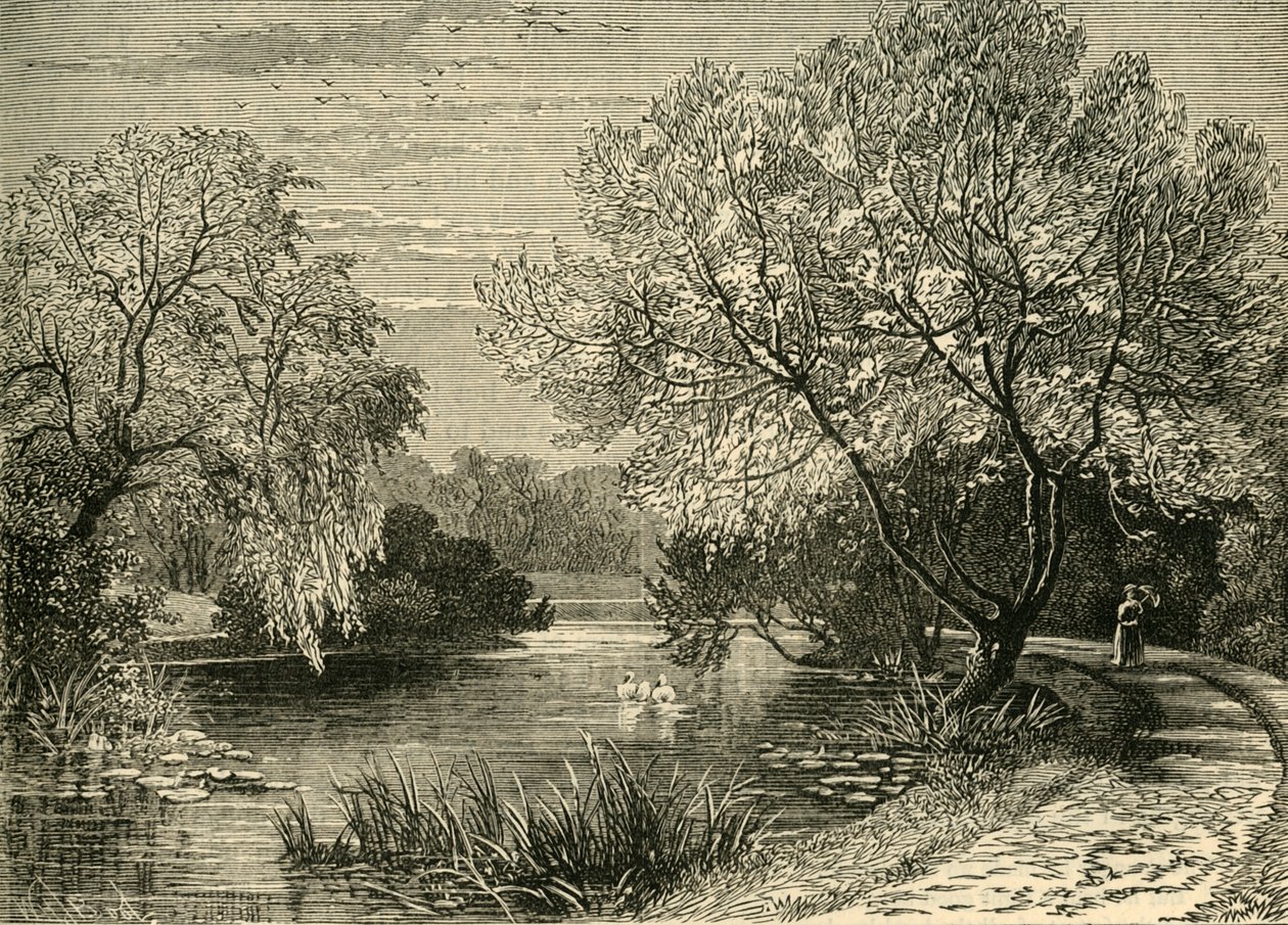 Botanická zahrada, Regents Park, c1876. od Unbekannt