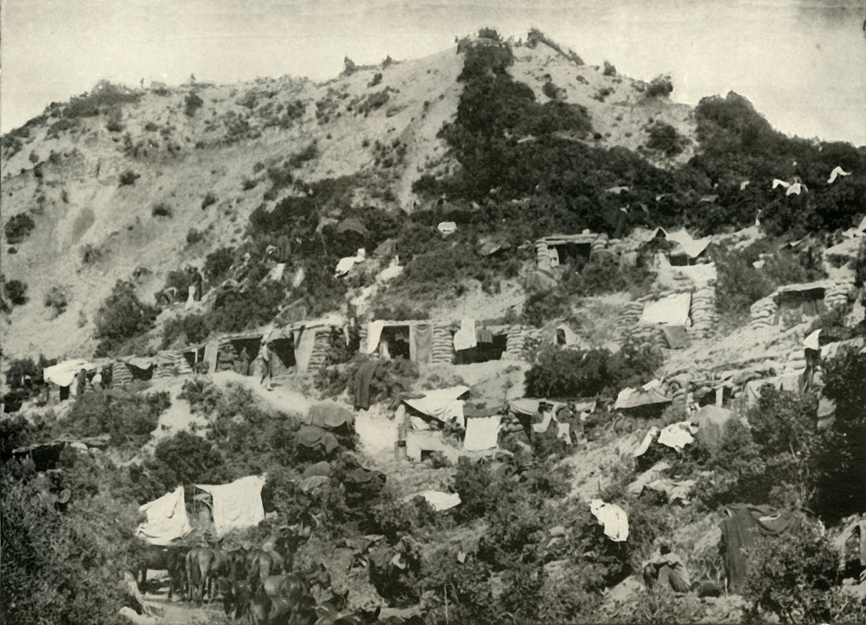 Britská vojska na poloostrově Gallipoli, 1919. od Unbekannt