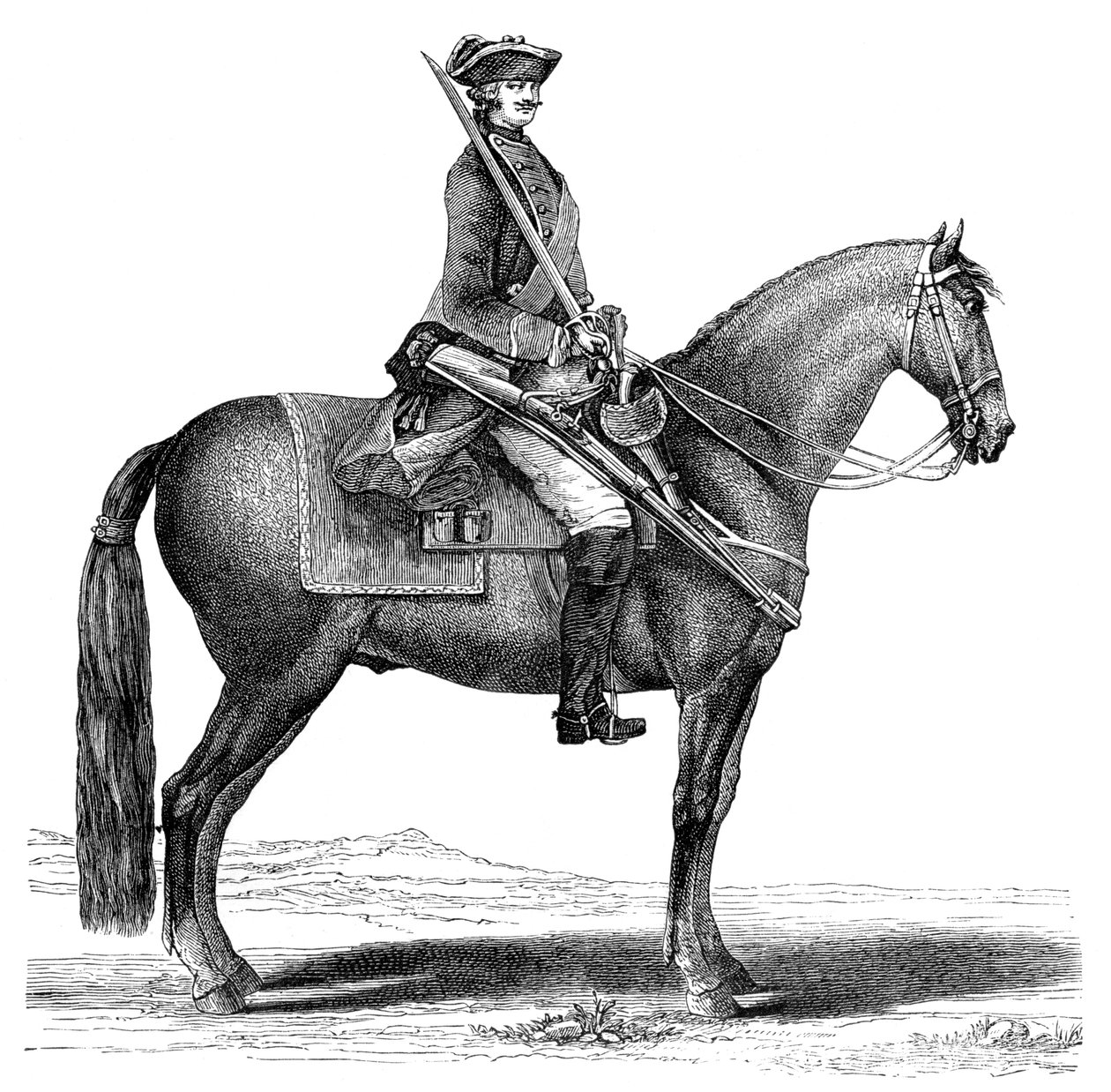 Kavalír, 1885 od Unbekannt