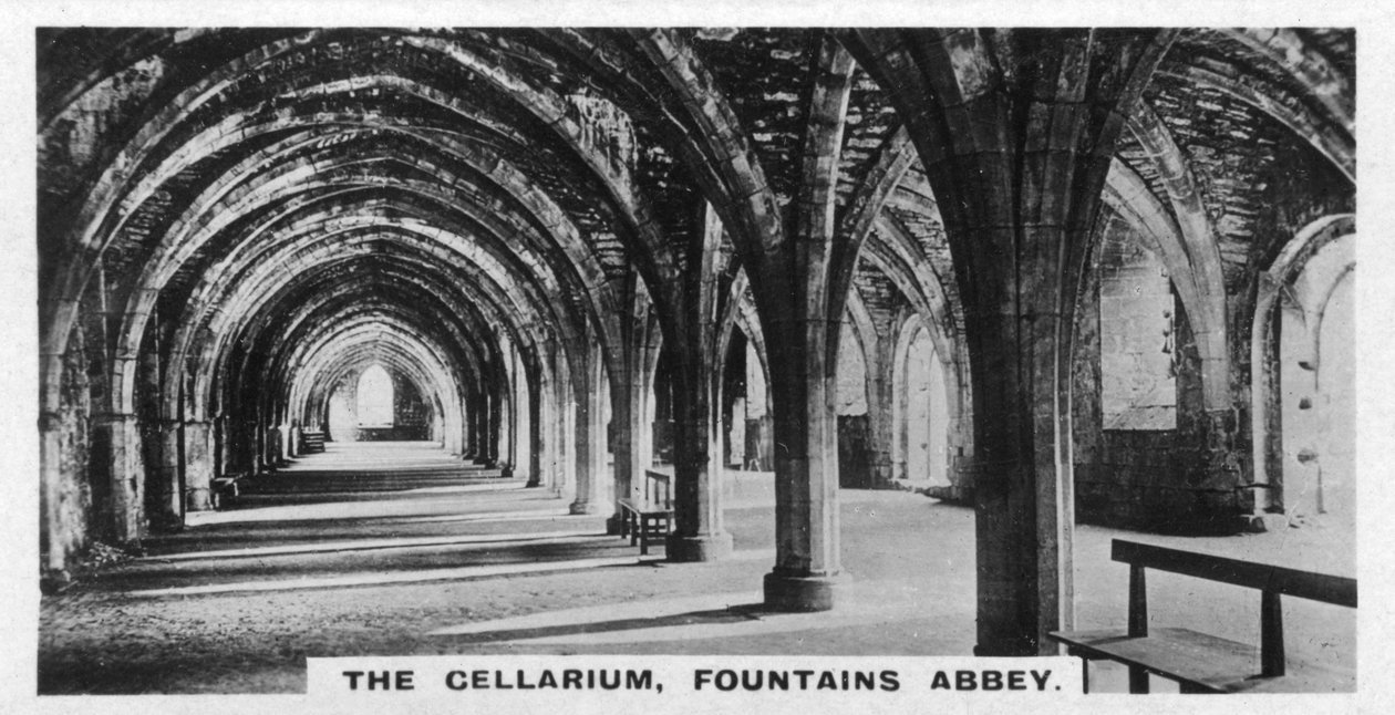 The Cellarium, Fountains Abbey, Yorkshire, 20. léta 20. století od Unbekannt