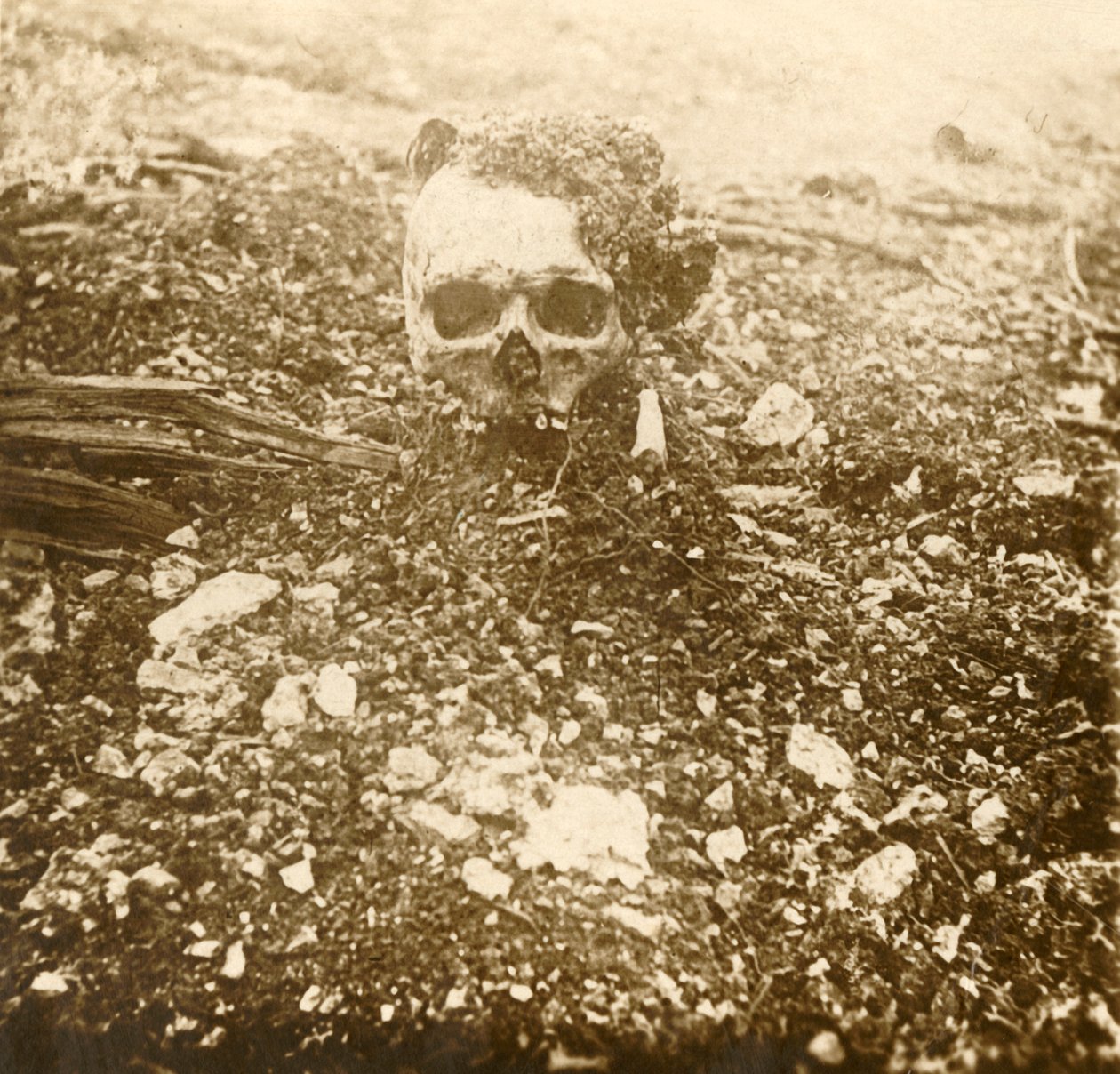 Korunní princ, Verdun, severní Francie, 1916 od Unbekannt