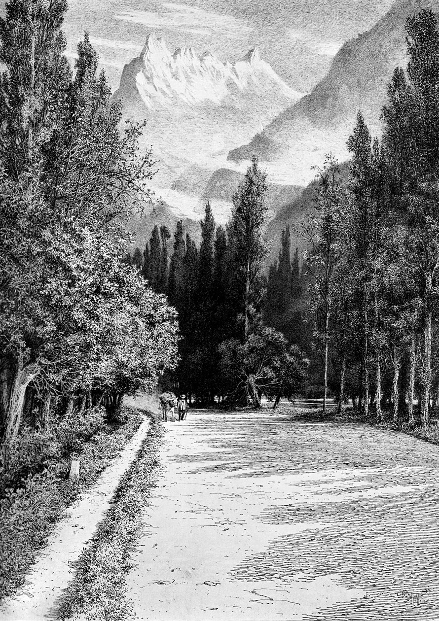 Dent du Midi z údolí Rhone, 1900 od Unbekannt