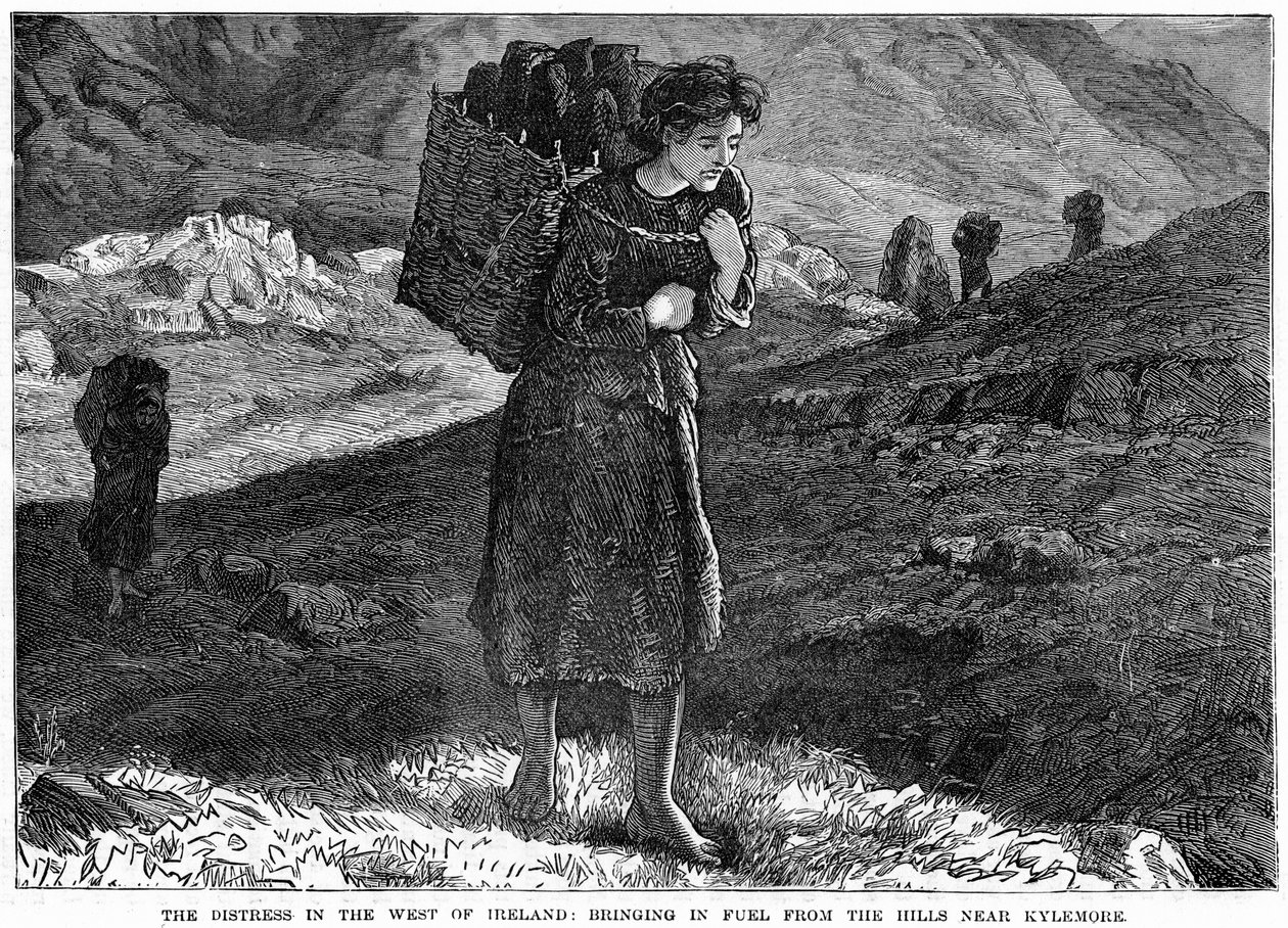 The Distress in the West Ireland: Bringing in Fuel from the Hills near Kylemore, 19th century od Unbekannt