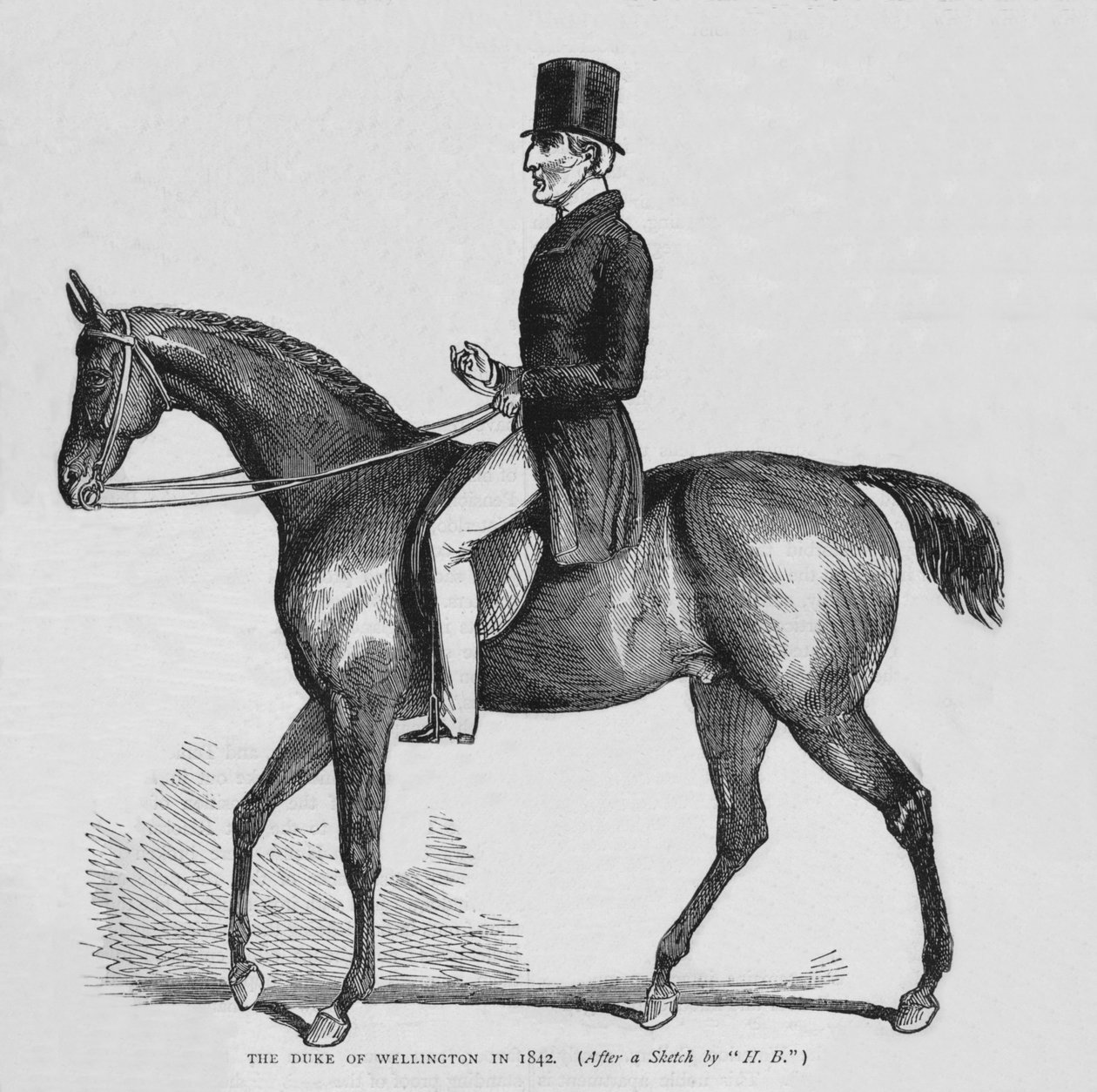 Vévoda z Wellingtonu, c1842 1878 od Unbekannt