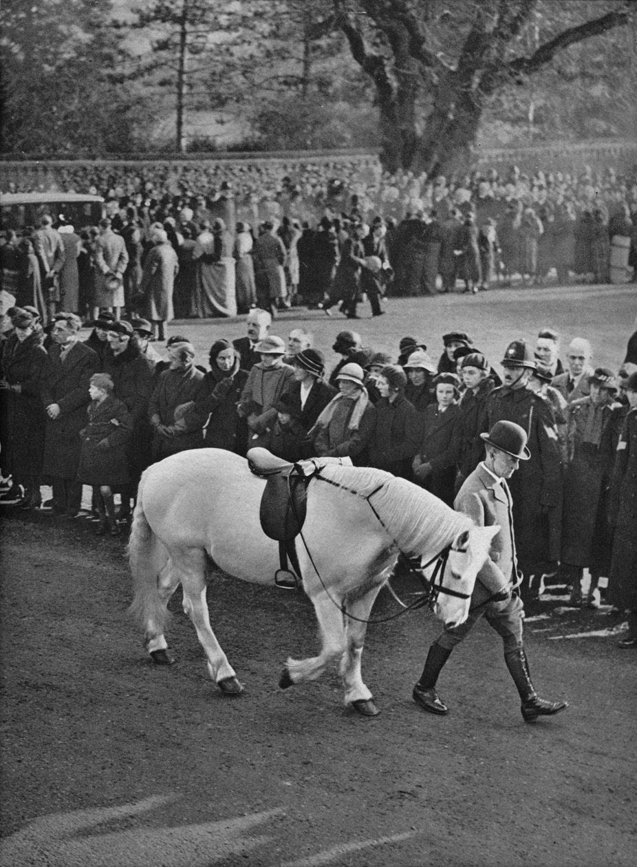 Prázdné sedlo: bílý poník King Georges, Jock, vedený v průvodu, 1936 od Unbekannt