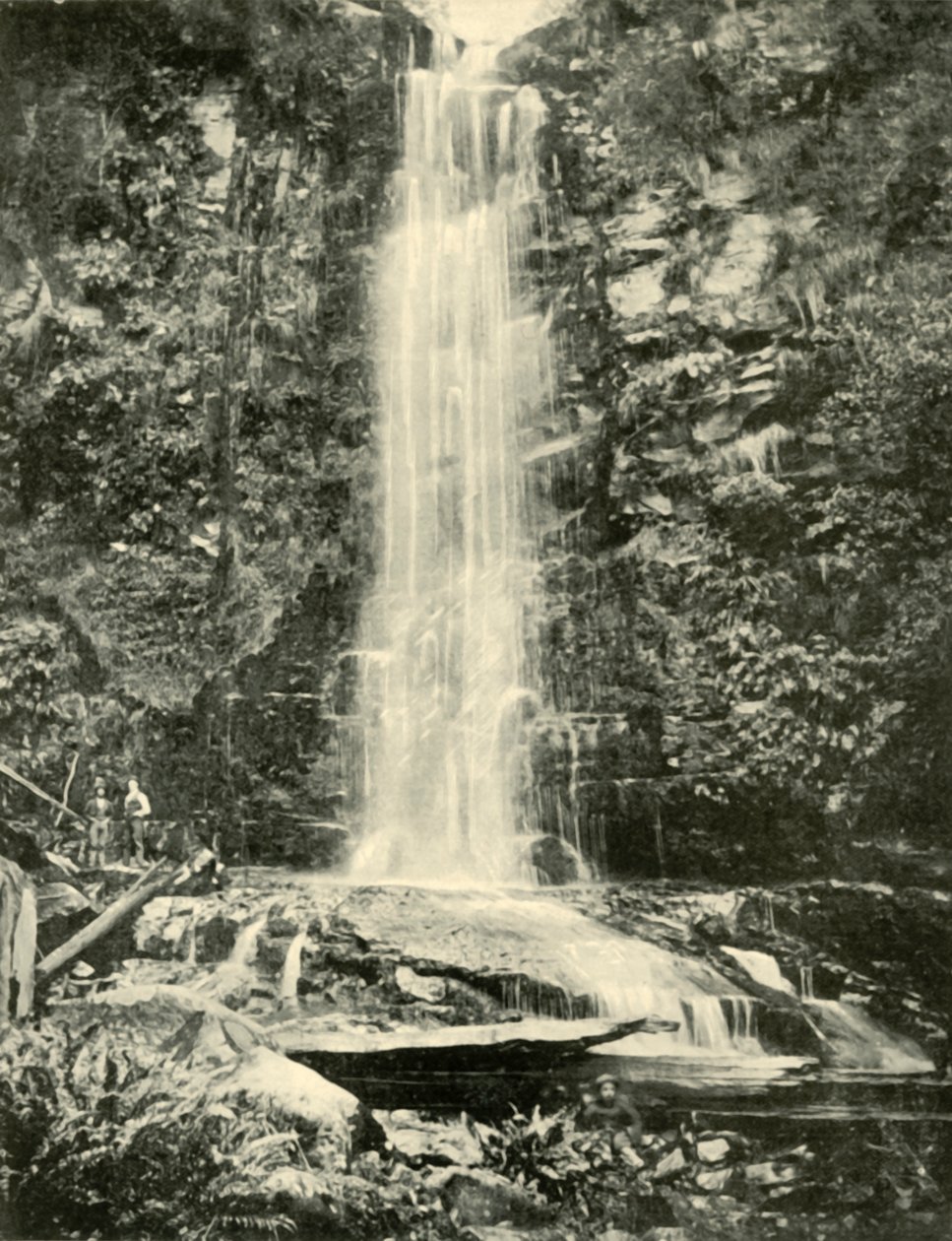 Erskine Falls, poblíž Lorne, 1901. od Unbekannt