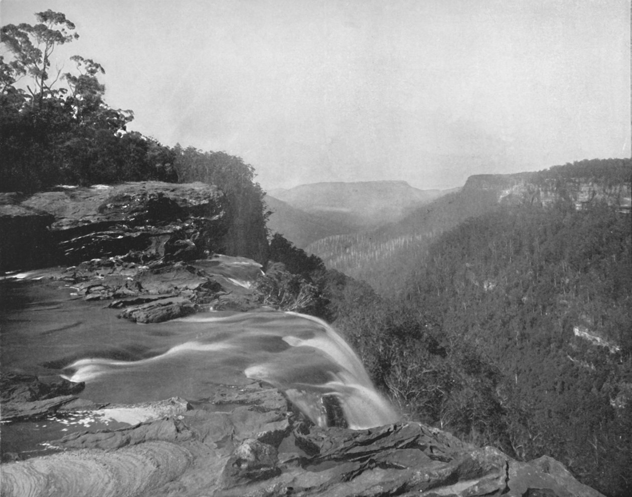 Fitzroy Falls, 19. století od Unbekannt