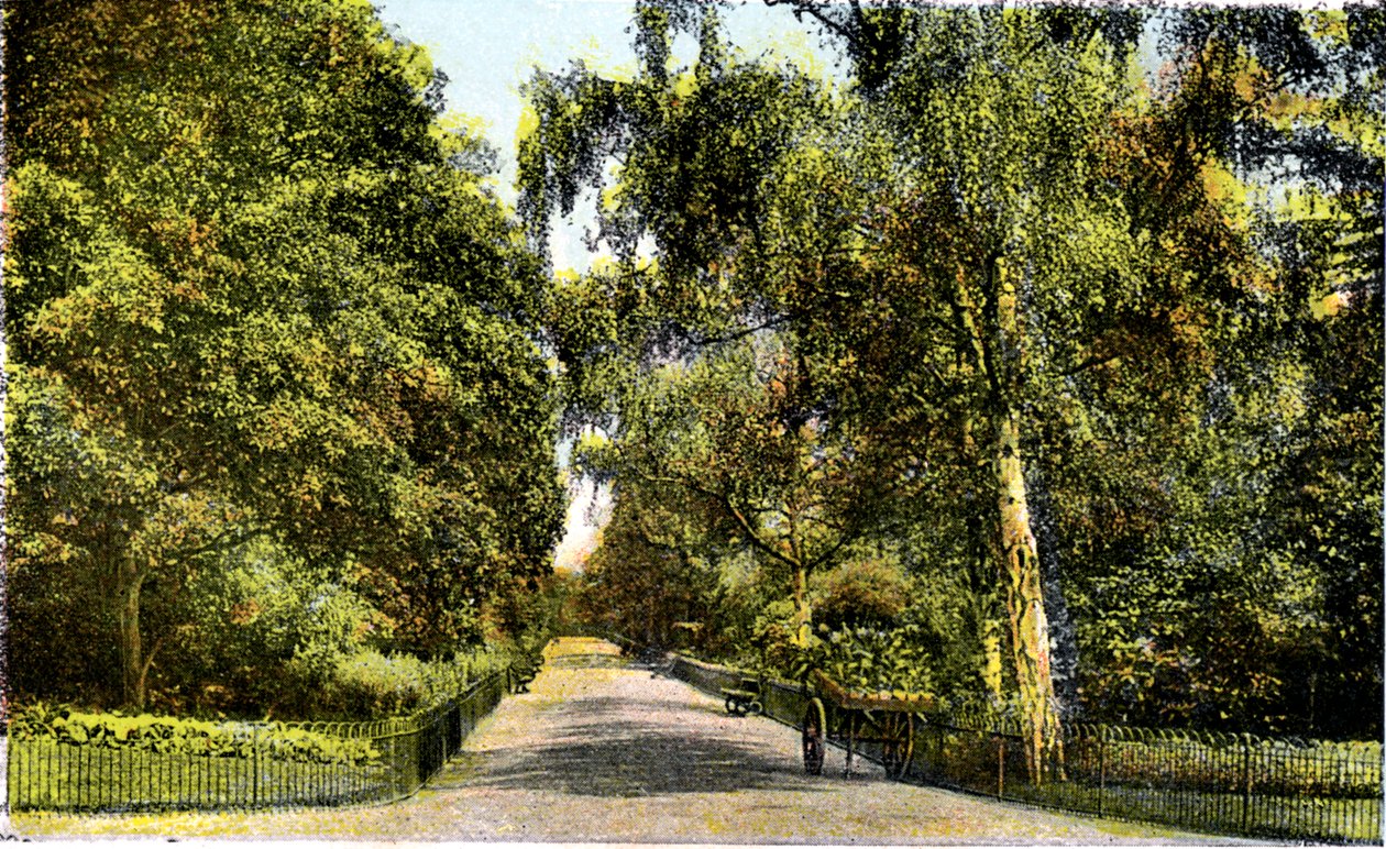 Květinová procházka, Kensington Gardens, Londýn, 20. století od Unbekannt