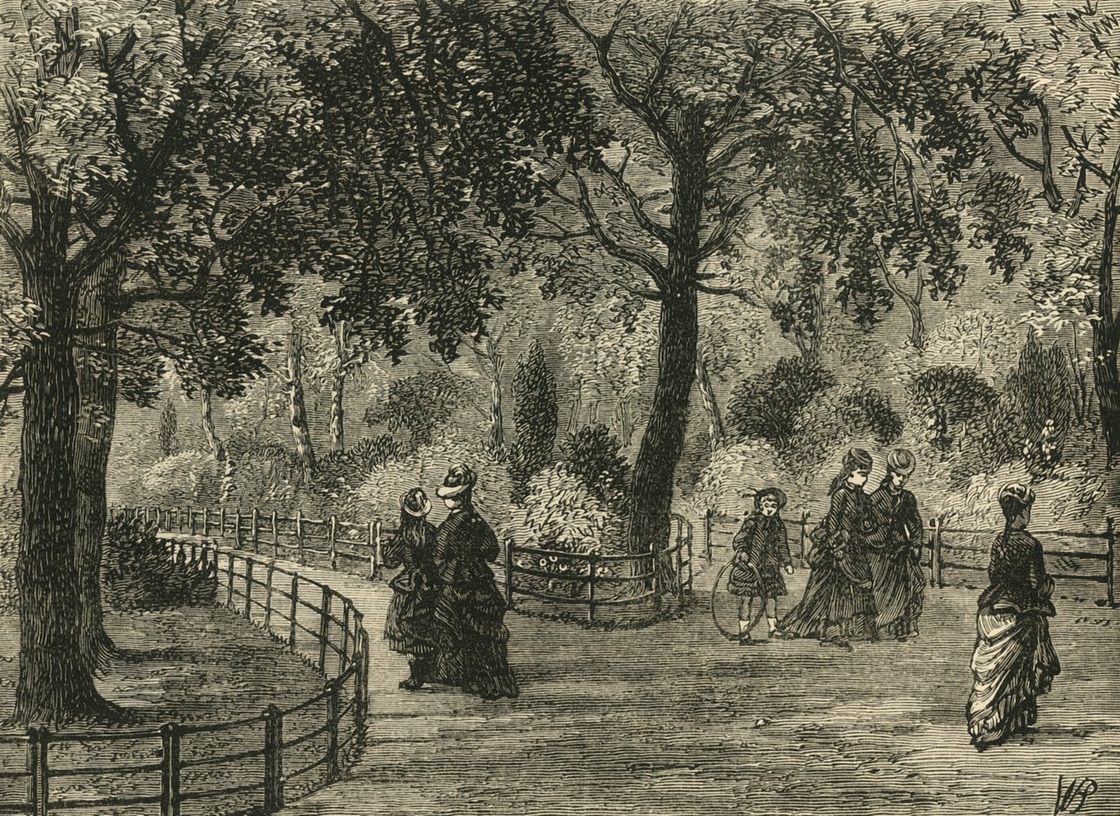 Květinové procházky, Kensington Gardens, c1876. od Unbekannt