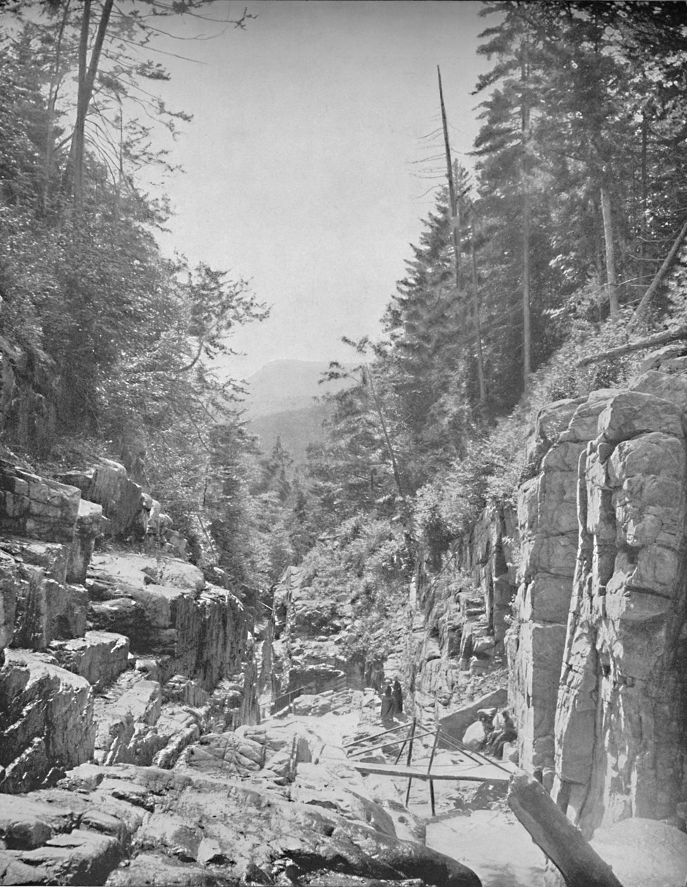 The Flume, Franky White Mountains, N. H., c1897. od Unbekannt