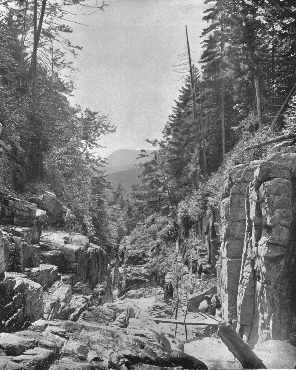 The Flume, Franconia White Mountains, New Hampshire, USA, c1900. od Unbekannt