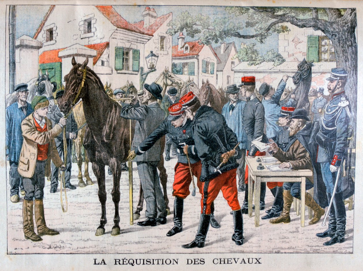 Francouzská armáda nakupující koně, 1904 od Unbekannt