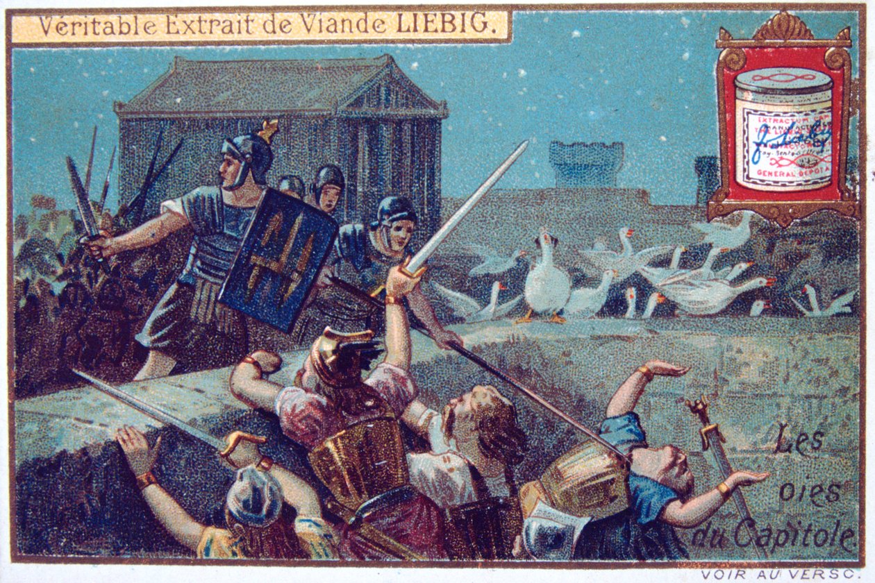 The Geese of the Capital, Liebig kontinentální obchodní karta, c1900 od Unbekannt