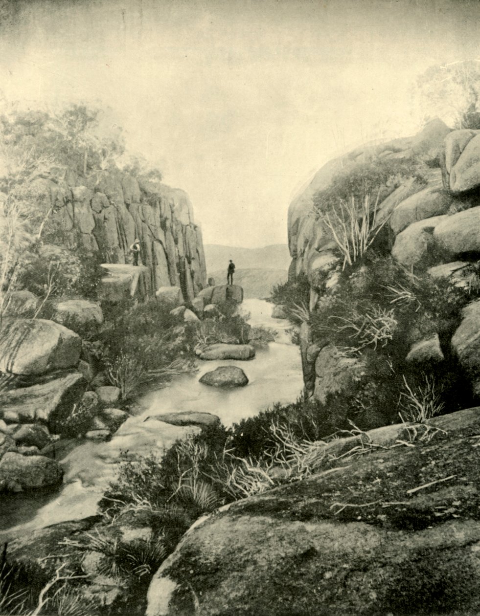 The Gorge, Buffalo Falls, Viktoriánské Alpy, 1901. od Unbekannt