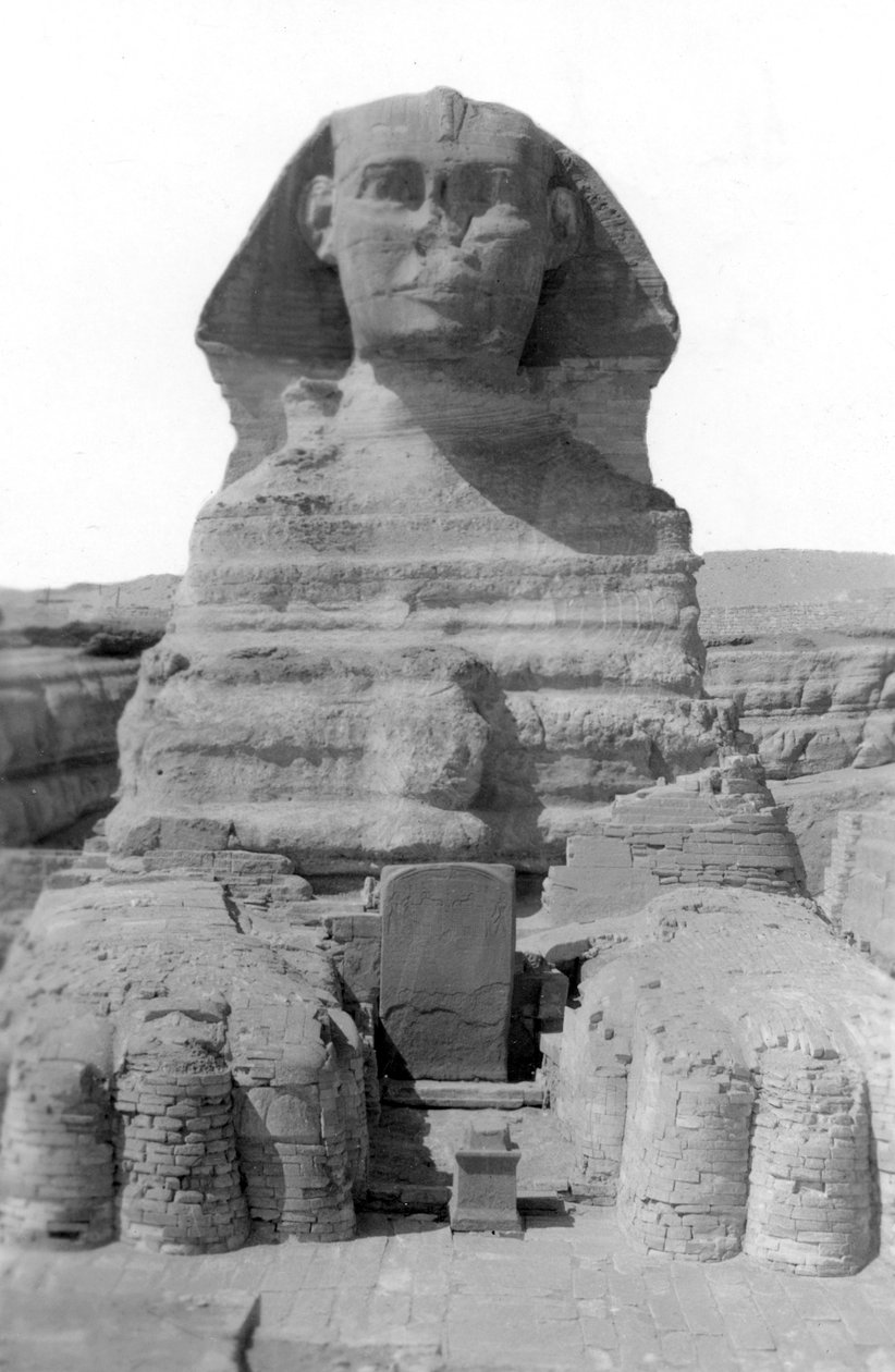 Velká sfinga v Gíze, Egypt, květen 1949 od Unbekannt