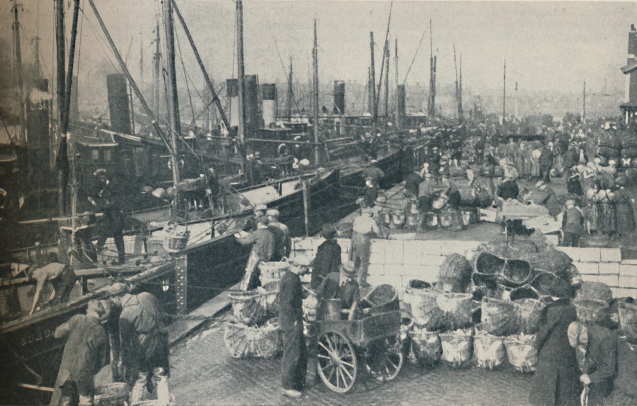 Sleďová sezóna v plném proudu, 1937 od Unbekannt