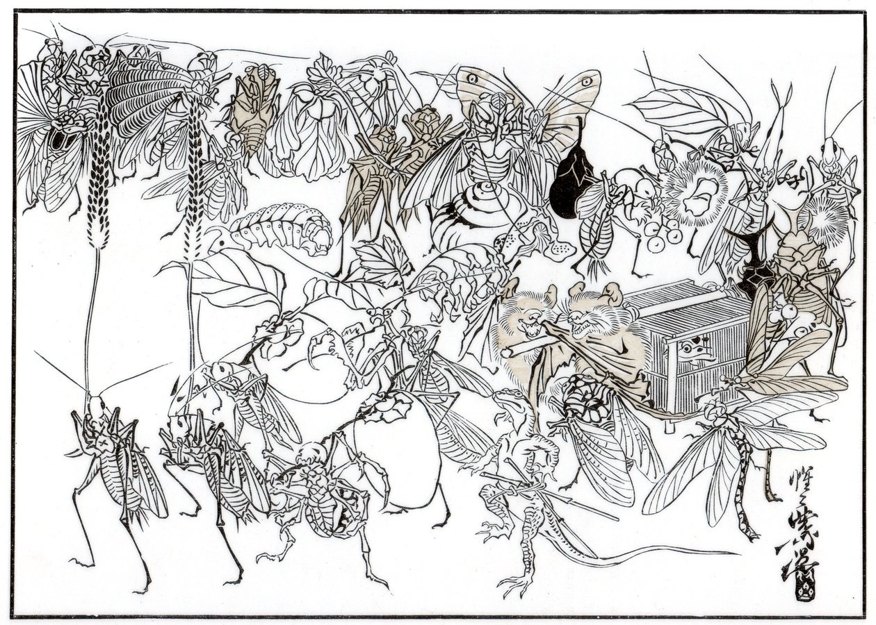 The Insect Daimio Cortege, 1878 1886 od Unbekannt
