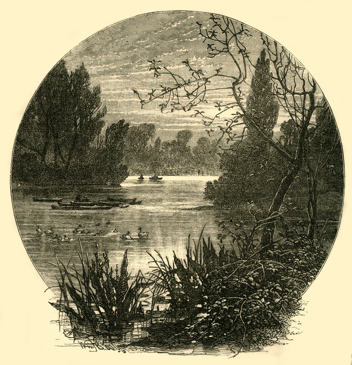 Jezero, Battersea Park, c1878. od Unbekannt