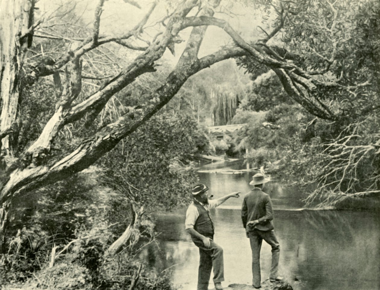 Místo spuštění, Upper Yarra, Victoria, 1901. od Unbekannt