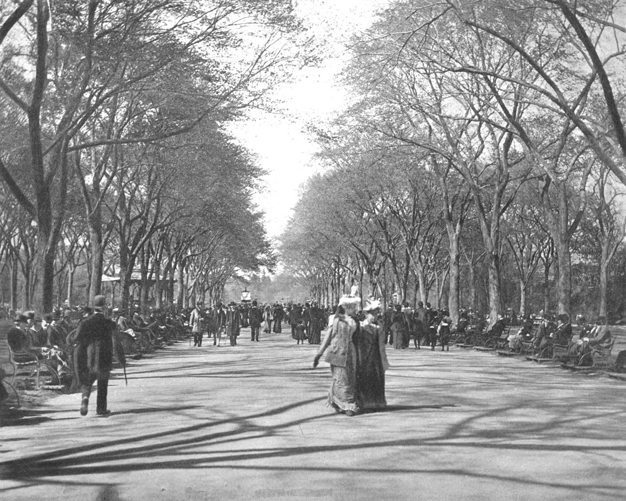 The Mall, Central Park, New York, USA, c1900. od Unbekannt
