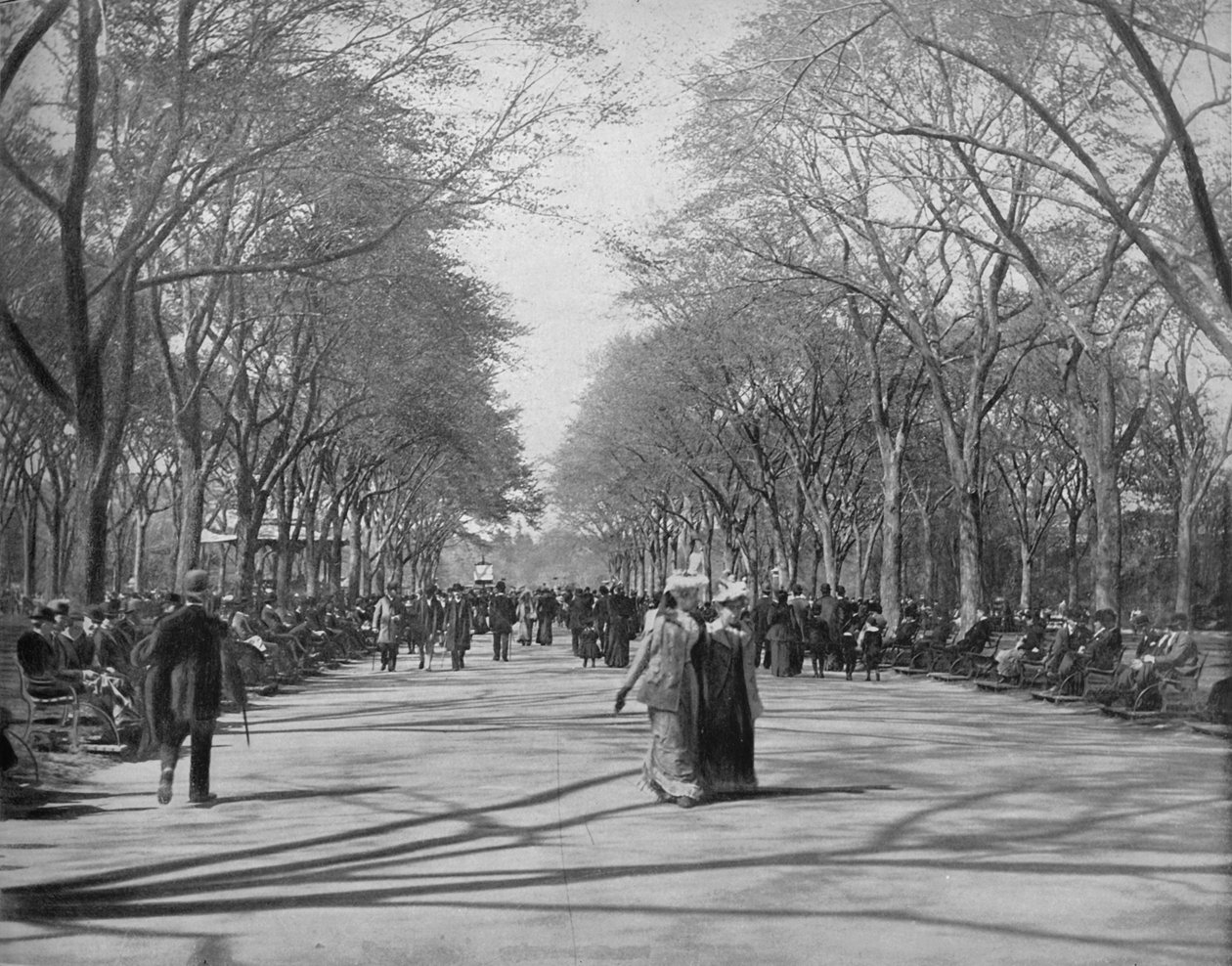 The Mall, Central Park, New York, c1897. od Unbekannt