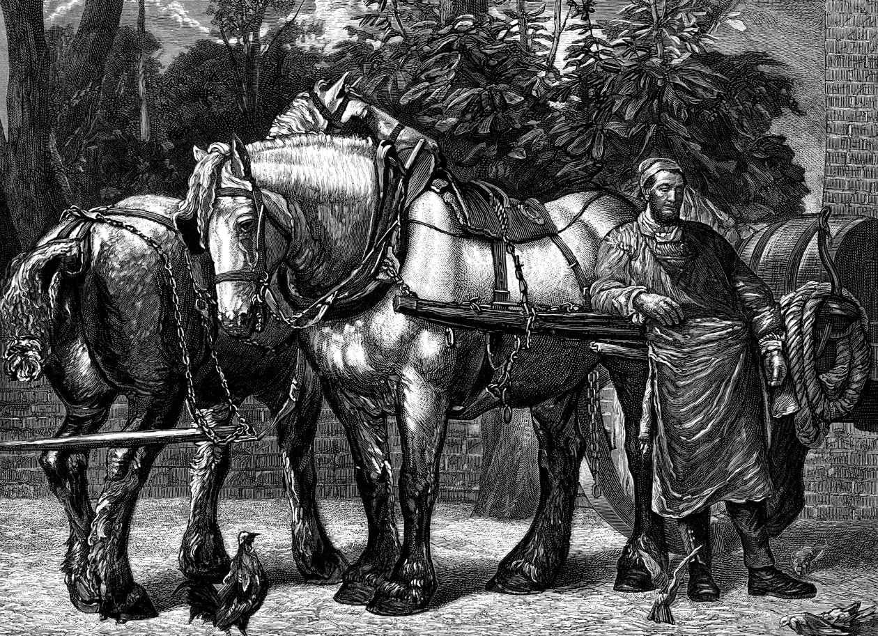 Polední odpočinek, c1863 1882 od Unbekannt