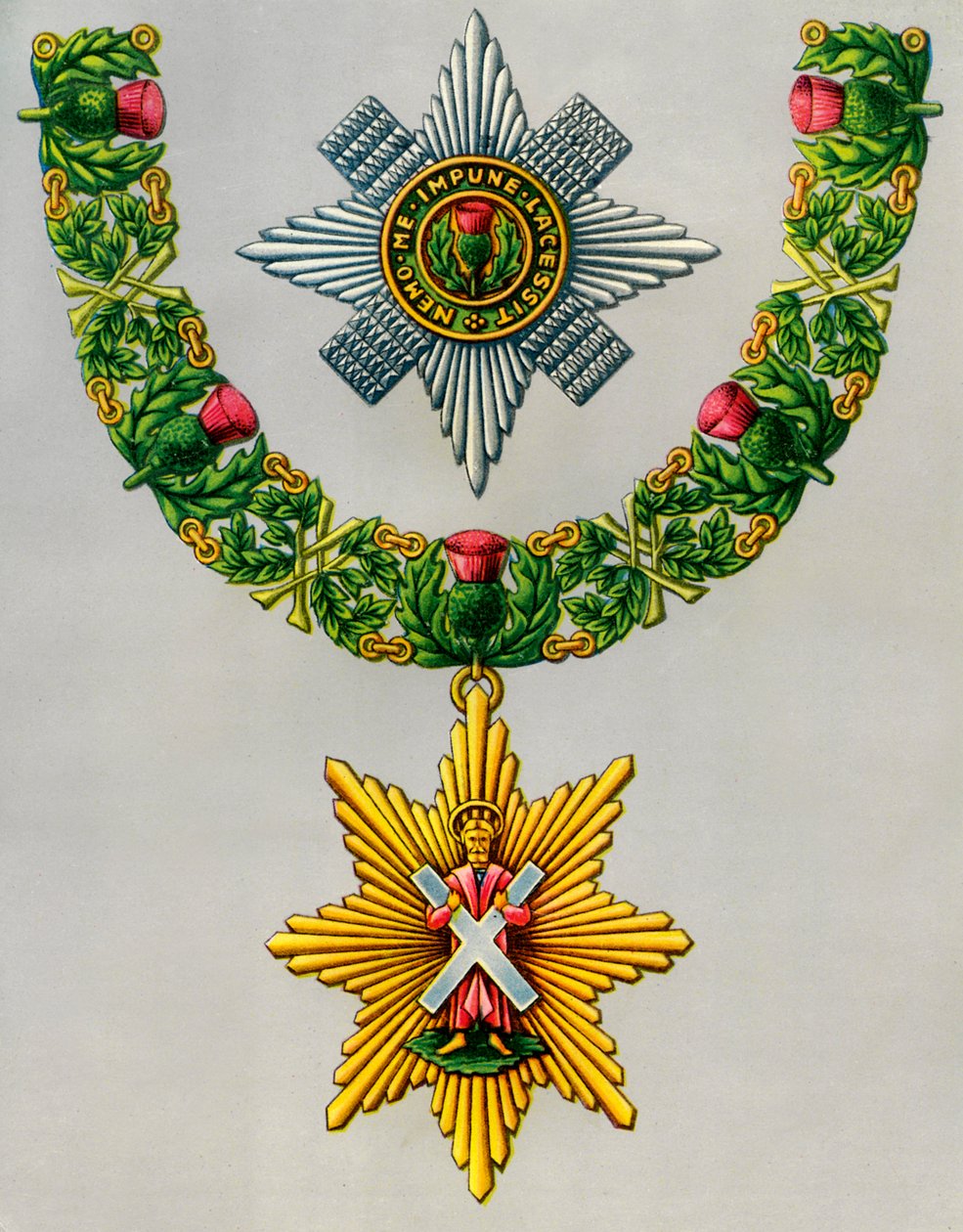Nejvznešenější a nejstarší řád bodláku, 1941 od Unbekannt