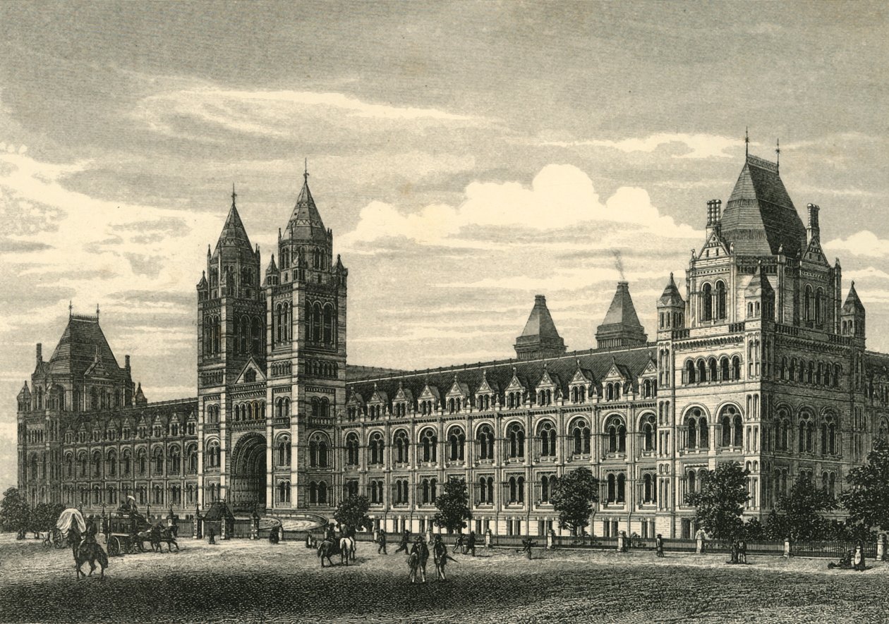 Přírodovědné muzeum, South Kensington, c1876. od Unbekannt