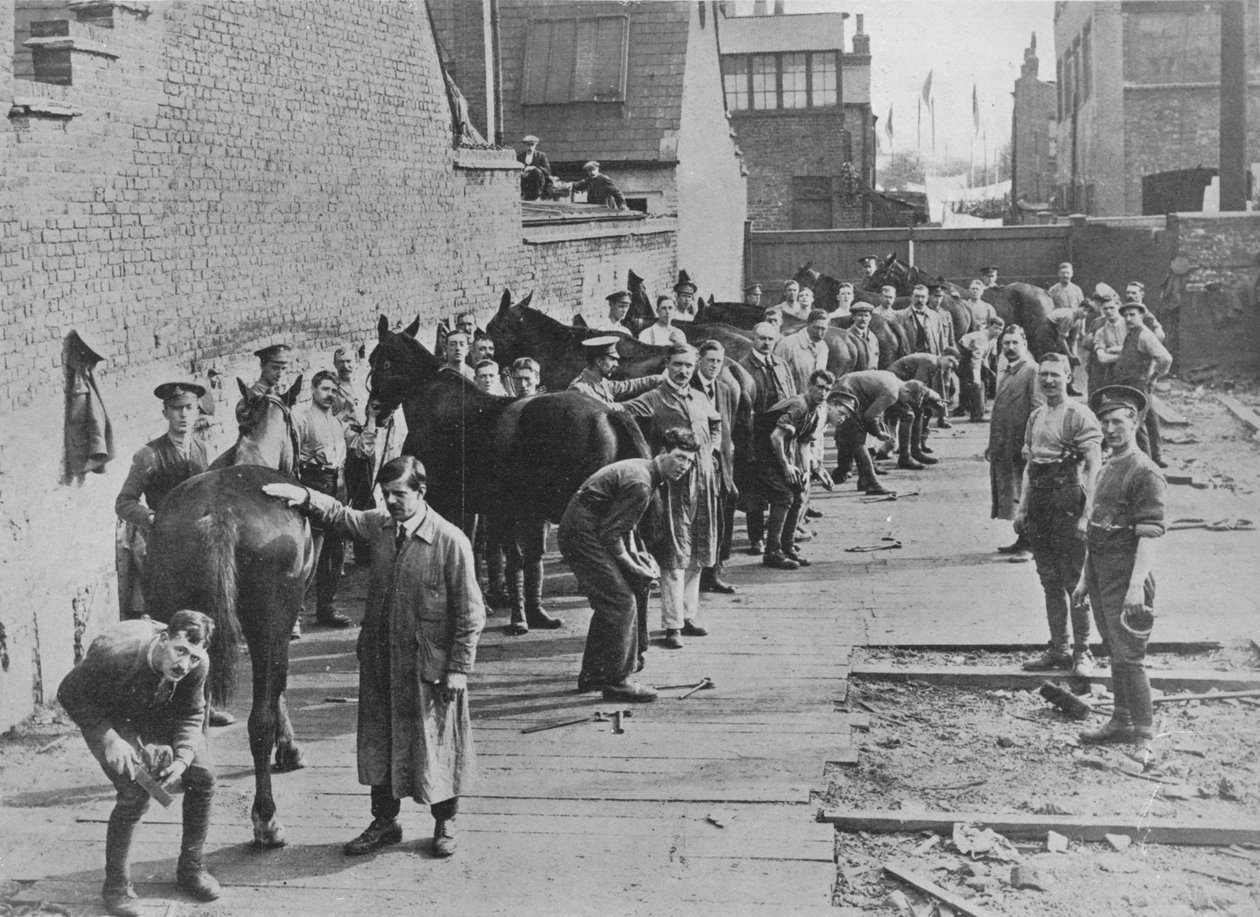Nová armáda ve výcviku na Farriers School, 1915 od Unbekannt