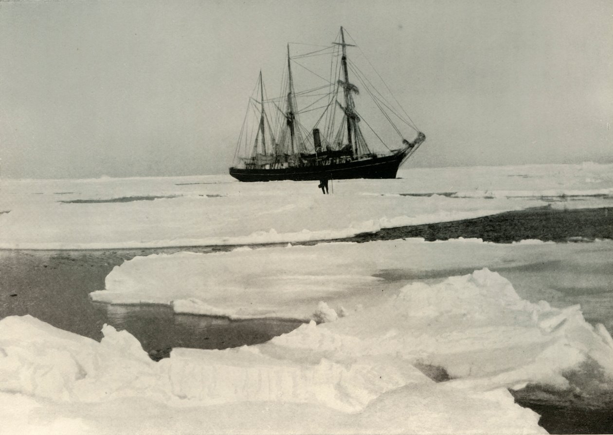 Nimrod si tlačí cestu přes další otevřený balíček, c1908, 1909 od Unbekannt