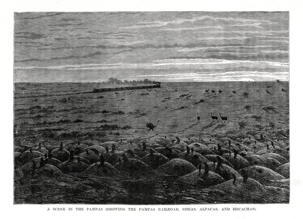 Železnice Pampas, jihoamerické nížiny, 1877 od Unbekannt