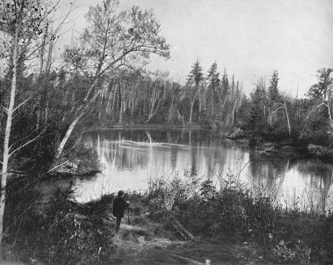Řeka Peshtigo, Wisconsin, USA, c1900. od Unbekannt