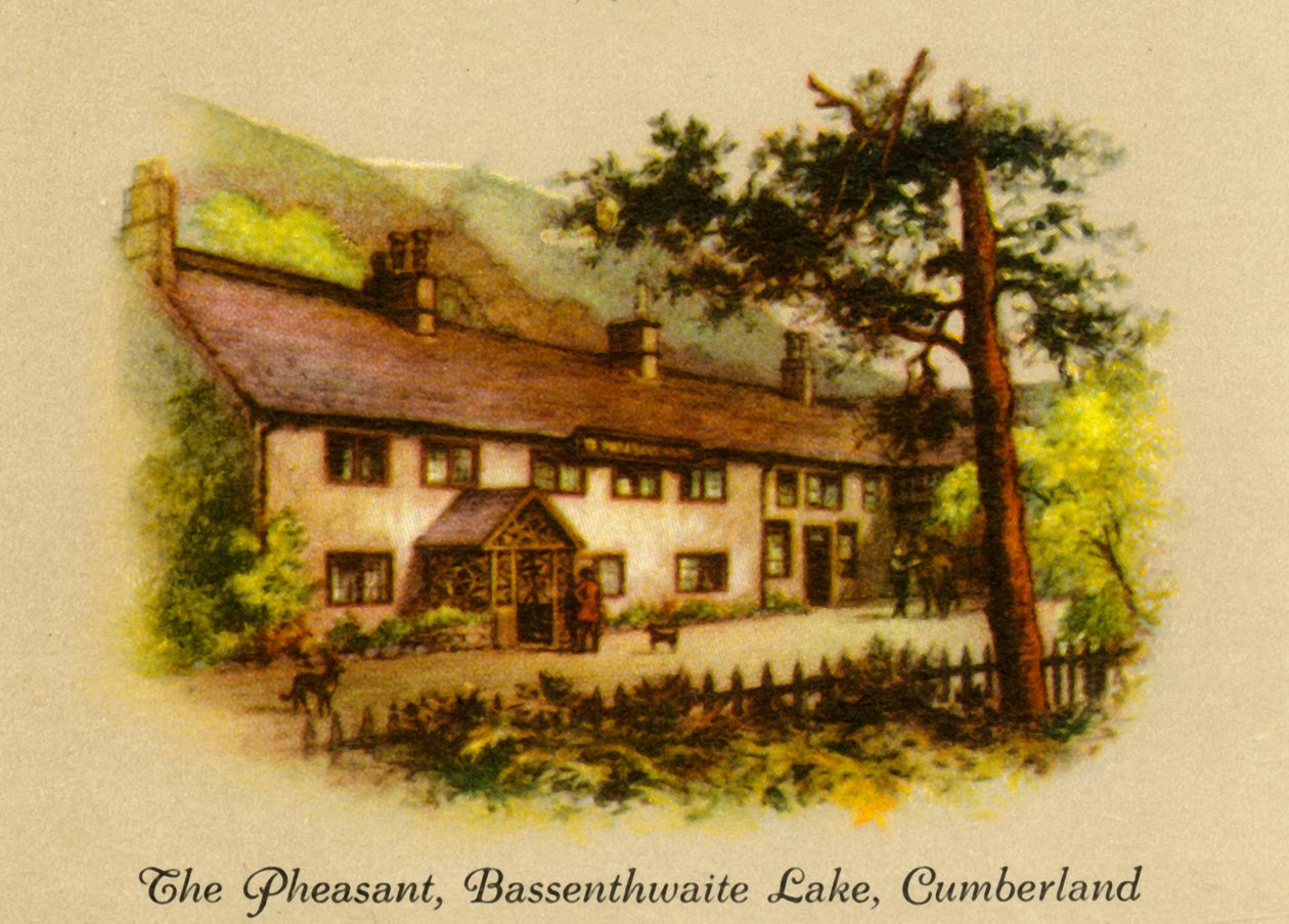 Bažant, Bassenthwaite Lake, Cumberland, 1936. od Unbekannt
