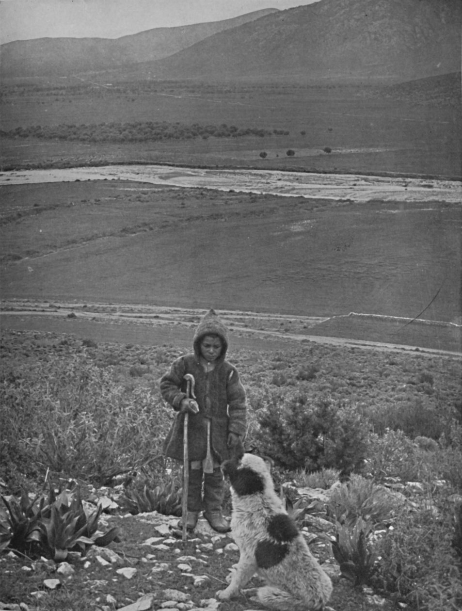 The Plain of Marathon, 1913 od Unbekannt