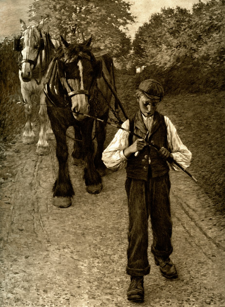 The Plow Boy, 1900 od Unbekannt