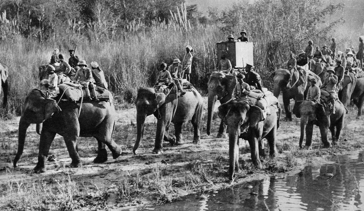 Střelba tygra prince z Walesu v Indii, 1921 od Unbekannt