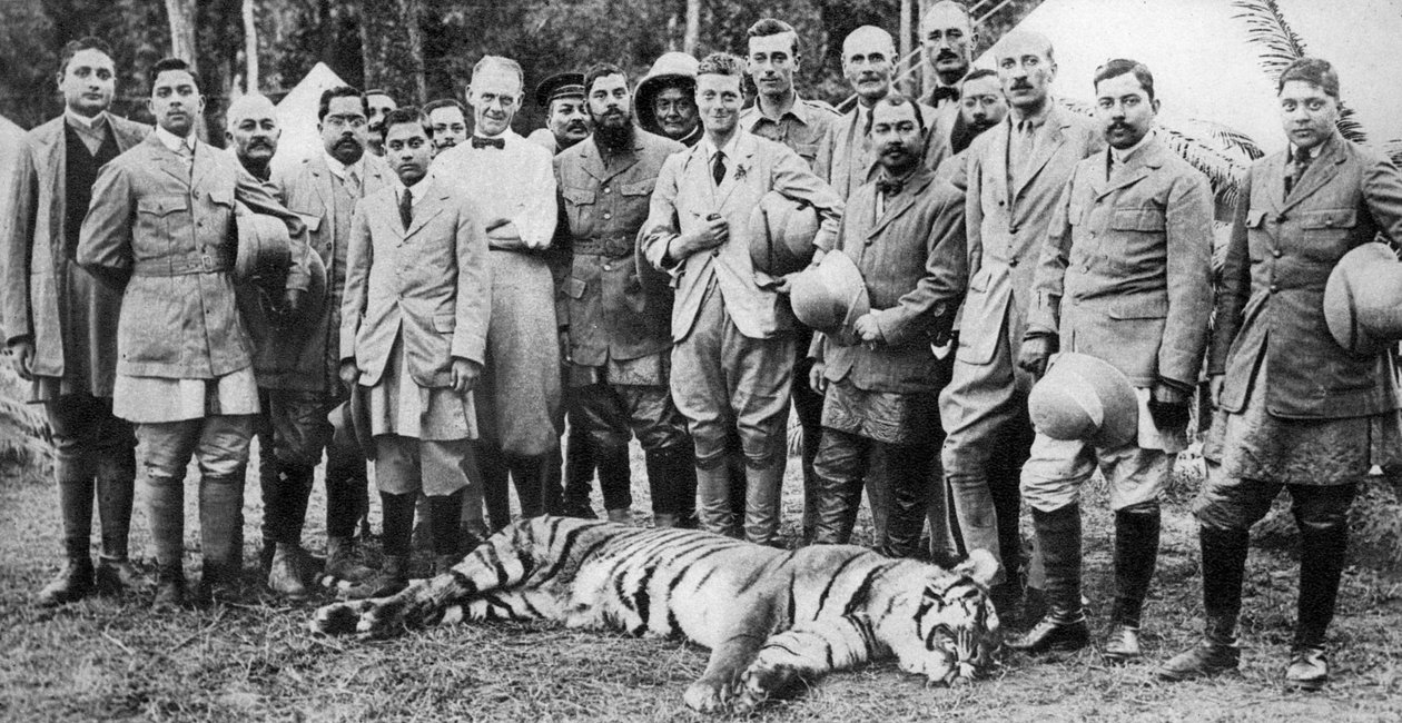 Střelba tygra prince z Walesu v Nepálu, Indian Tour, 1921 od Unbekannt