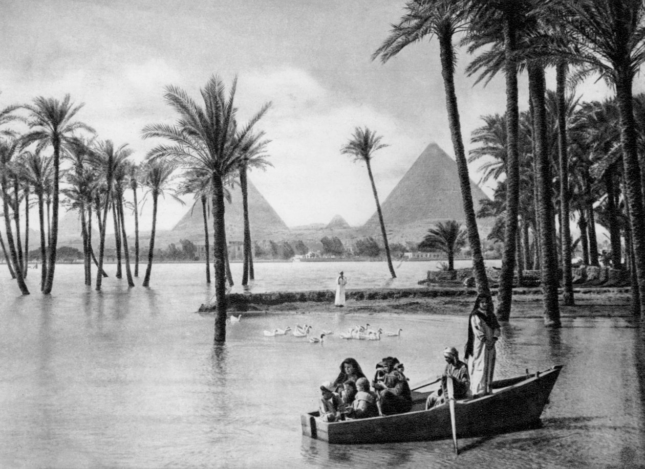 Pyramidy v Gíze během povodně, Káhira, Egypt, c1920 od Unbekannt
