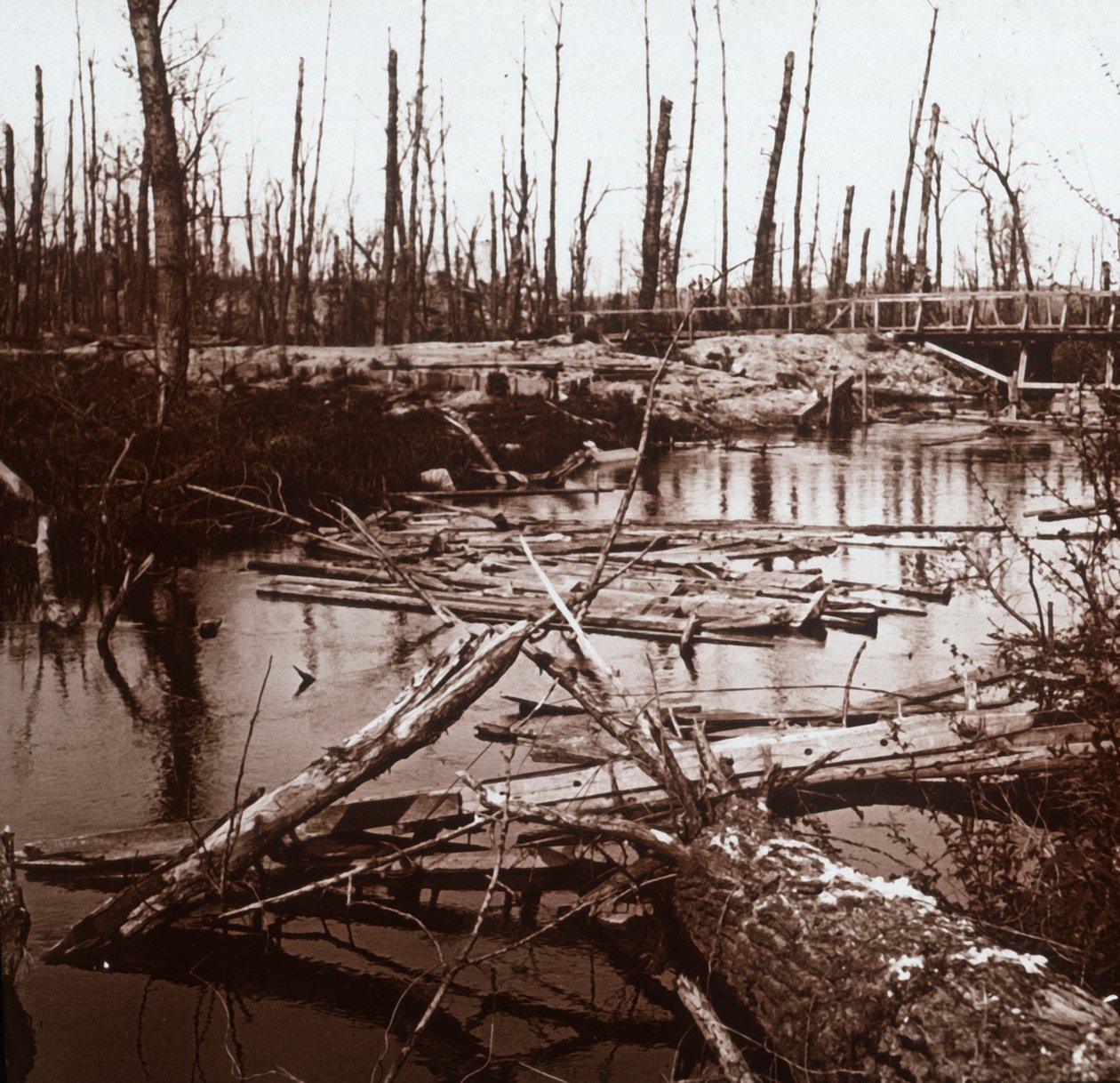 Řeka Ailette, severní Francie, c1914-c1918 od Unbekannt