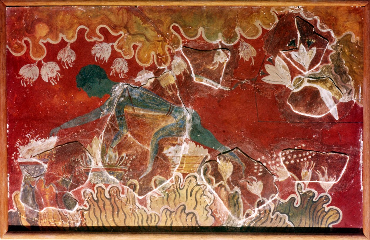 Freska Saffron-Gatherer z minojského královského paláce, Knossos, Kréta. c15. století před naším letopočtem od Unbekannt