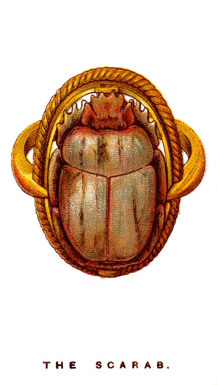 Skarabeus, 1923 od Unbekannt