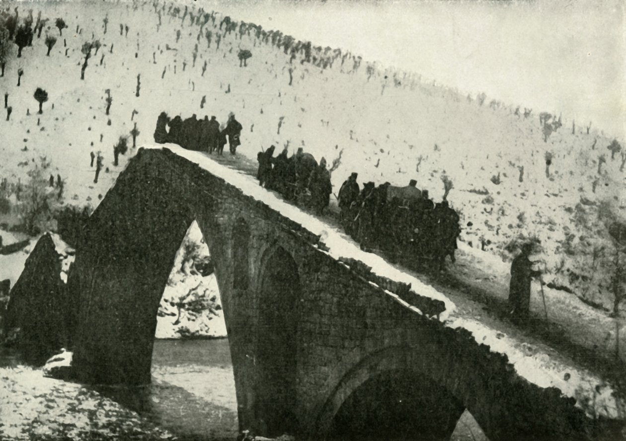Generální štáb srbské armády na jejich ústupu přes Albánii, 1919. od Unbekannt