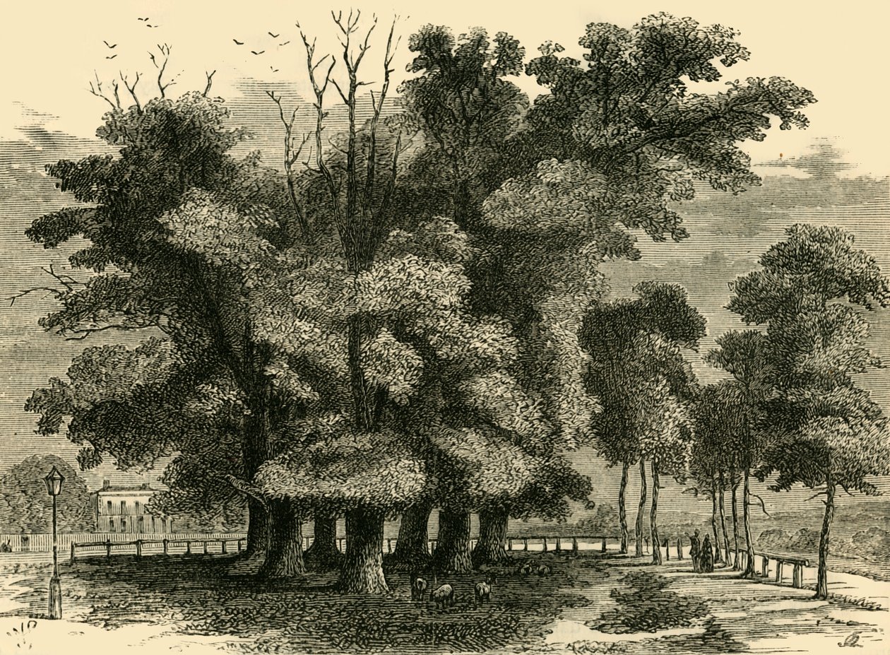 Sedm sester, v roce 1830, c1876. od Unbekannt