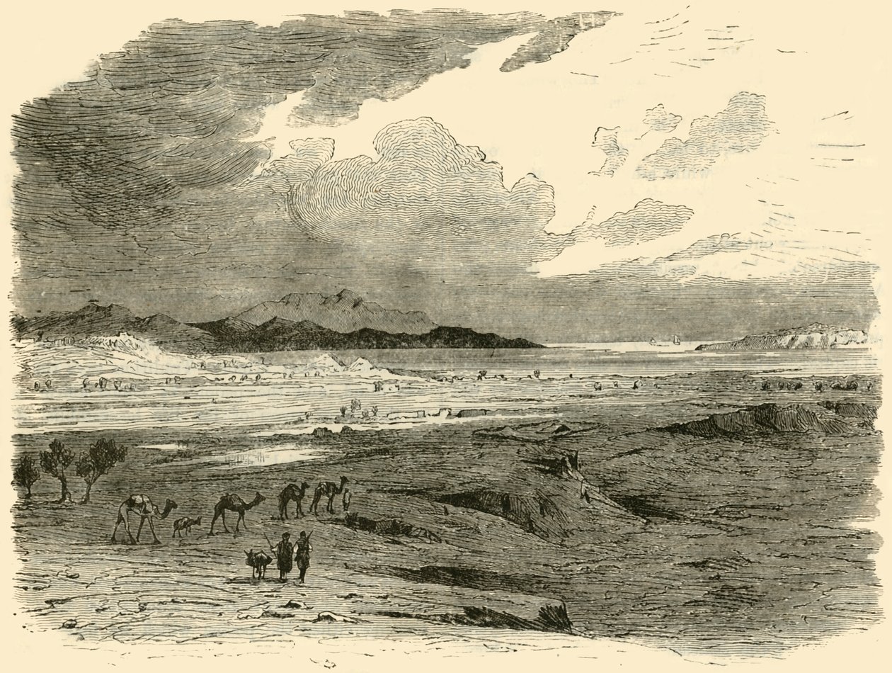 Místo Tróje, 1890. od Unbekannt