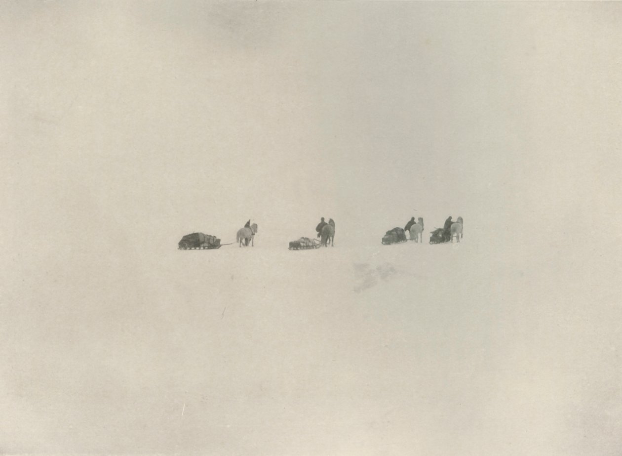 Jižní strana pochodující do bílé neznámo, 1908, 1909. od Unbekannt
