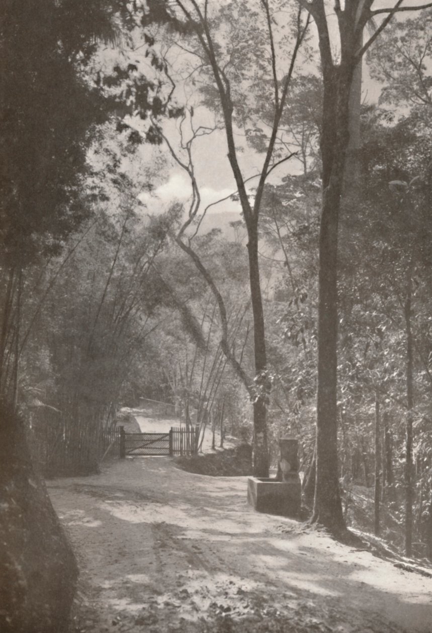 Duch Tijucy, 1914 od Unbekannt
