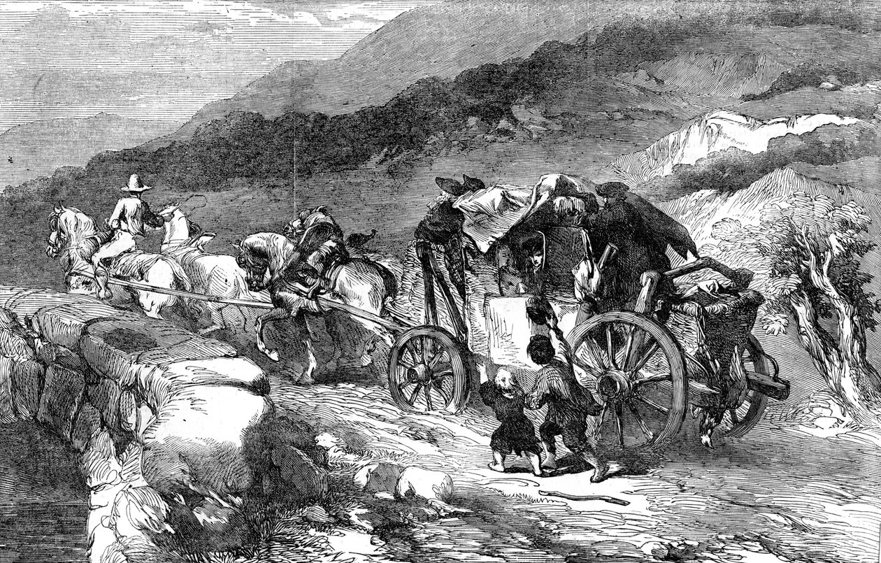 Dostavník minulého století, 1855 od Unbekannt