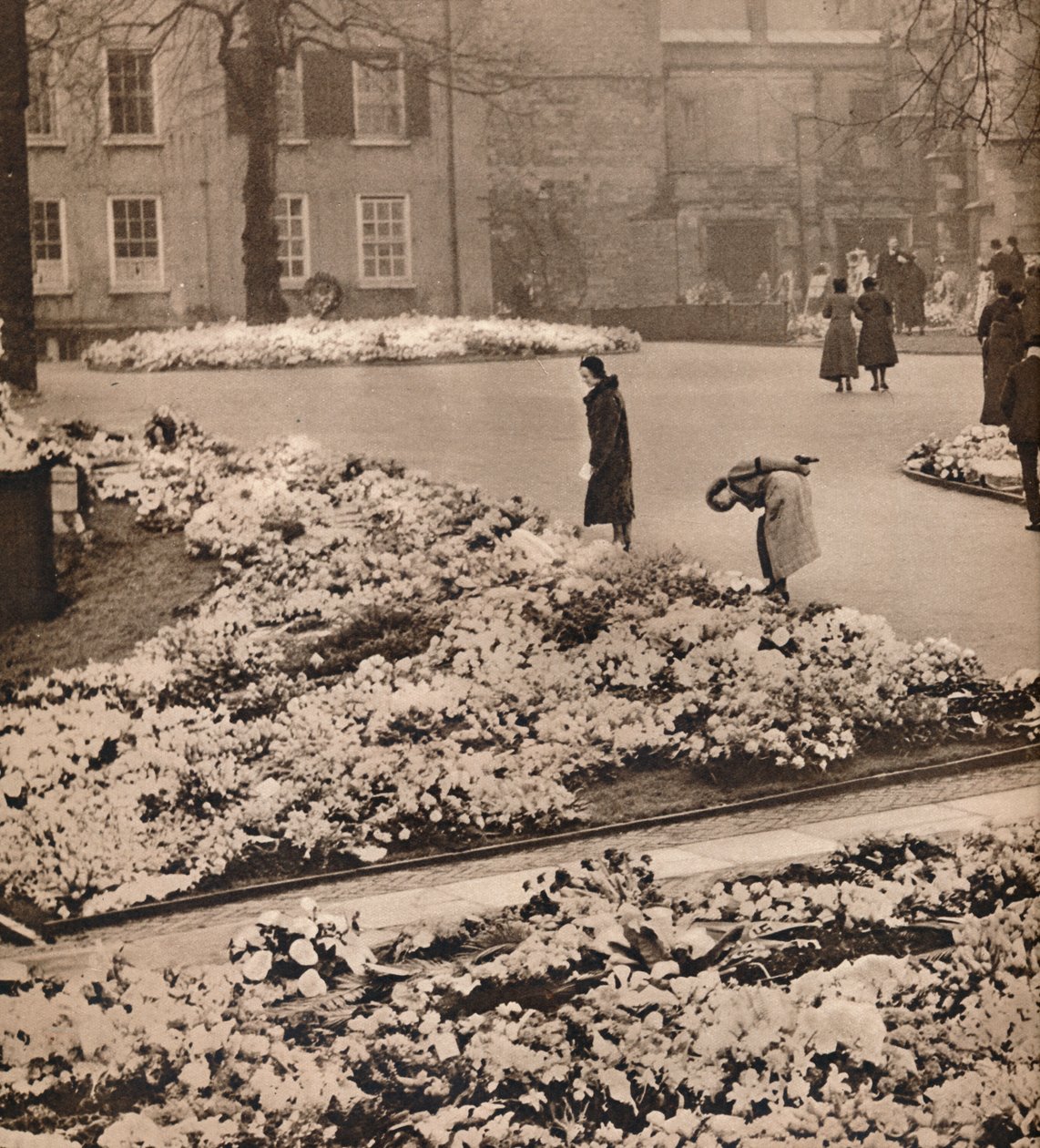 Státní pohřeb krále Jiřího V. ve Windsoru: pamětní věnce, 1936 od Unbekannt