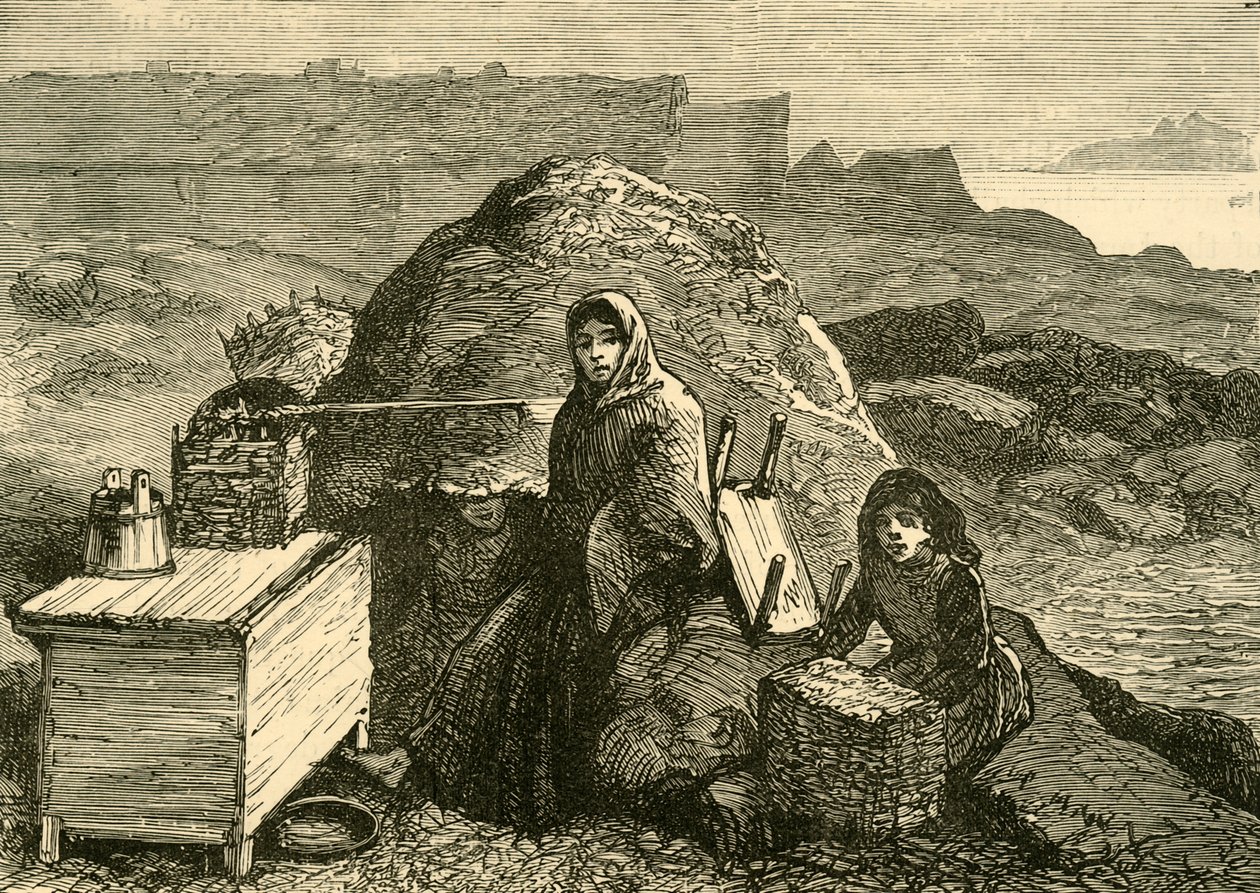Stát Irsko: Vystěhovaná rodina poblíž Errismore, c1880. od Unbekannt