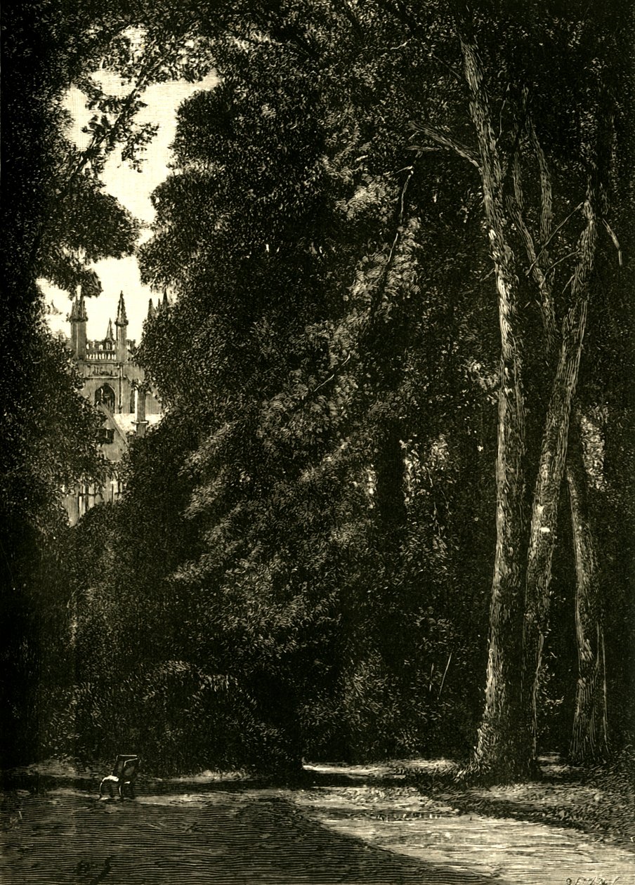 Věž Merton, ze zahrady, 1898. od Unbekannt